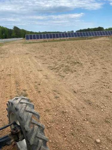 Seeding the Site after Panels have been Installed