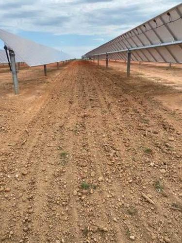 Seeding the Site after Panels have been Installed