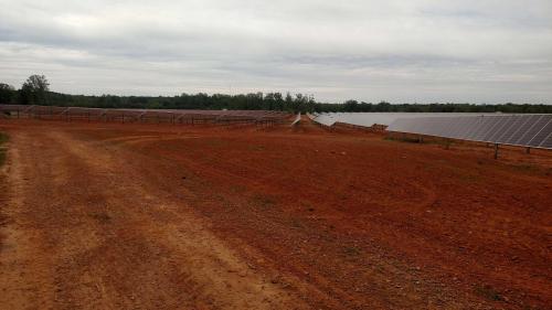 Seeding the Site after Panels have been Installed