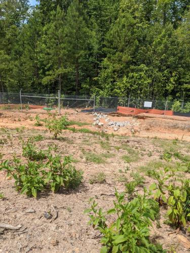 Erosion Control Measures