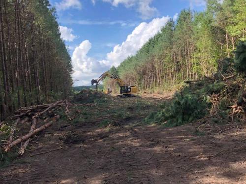 Lot & Land Clearing