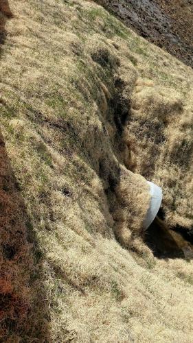 Silt Fence and Sediment Basin