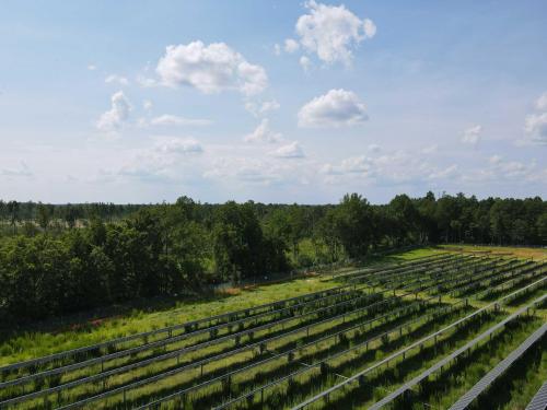 North 301 Solar Farm