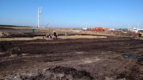 Drip System Installation