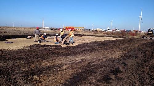 Drip System Installation