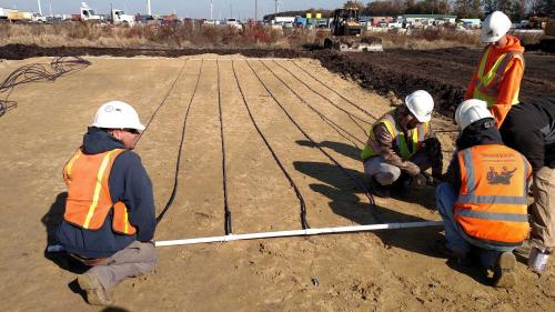 Drip System Installation