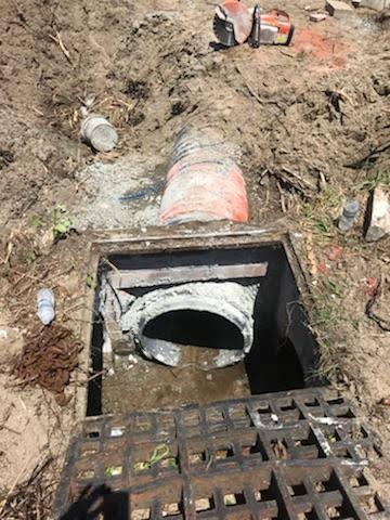 Sherman Williams Nags Head