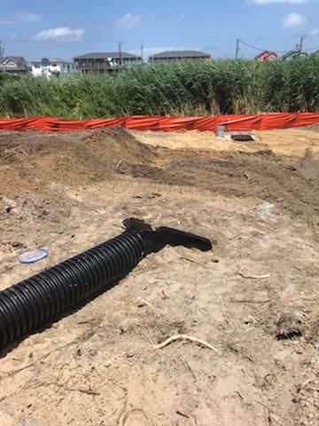 Sherman Williams Nags Head