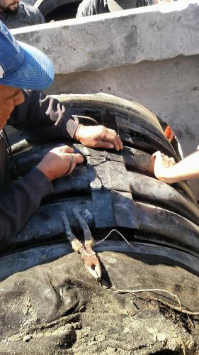 Sherman Williams Nags Head