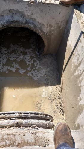 Sherman Williams Nags Head