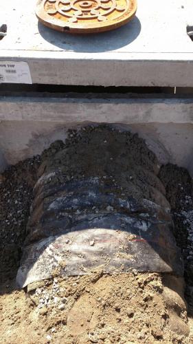 Sherman Williams Nags Head