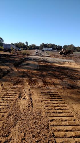 Grading After Trees Have Been Removed