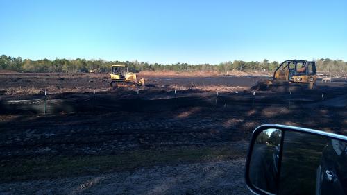 Grading After Trees Have Been Removed