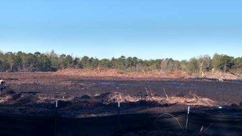 Grading After Trees Have Been Removed