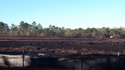 Grading After Trees Have Been Removed