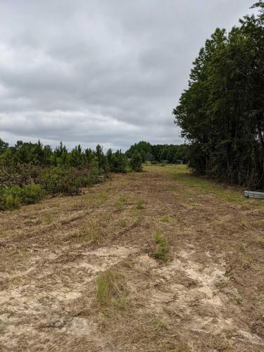 Tree Clearing, Burning, & Grading