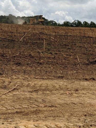 Tree Clearing, Burning, & Grading